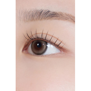 Hapa Kristin 1Day — Bean Kristin Raw Brown 日抛 10片裝(門市現貨)